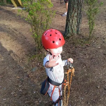 Osrodek Beaver 木屋 *